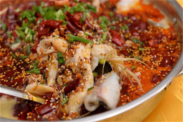 正宗747火锅鱼连锁怎么样