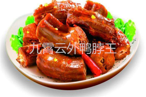 九霄云外鸭脖加盟总部在哪里