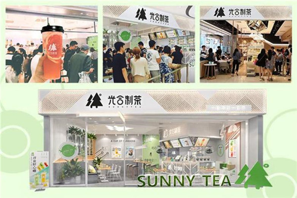 光合制茶到底怎么样