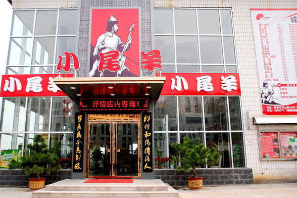 小尾羊火锅