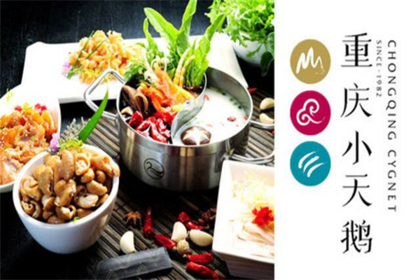 重庆小天鹅火锅加盟