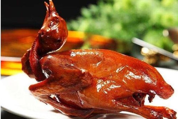 不老神鸡怎么加盟不老神鸡的加盟条件是什么