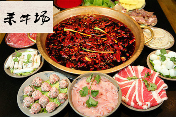杀牛场火锅加盟费