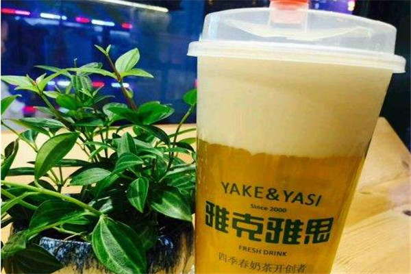 雅克雅思总部在哪里