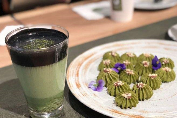 抹茶投资(抹茶投资的币)