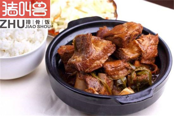 猪叫兽排骨饭加盟方式