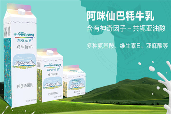 阿咪仙巴牦牛鲜奶加盟