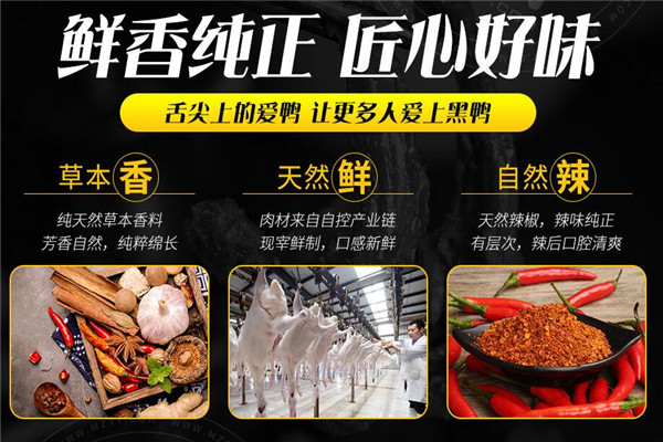 爱鸭黑鸭王加盟