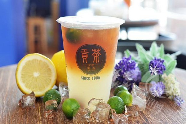 雅岛贡茶