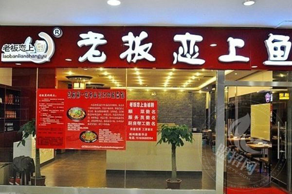 老板恋上鱼让不让加盟