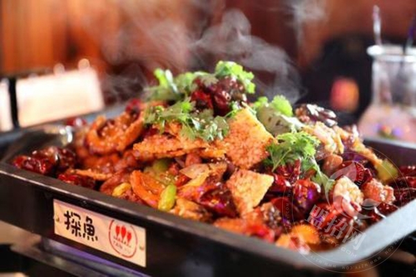 探鱼加盟费能退吗