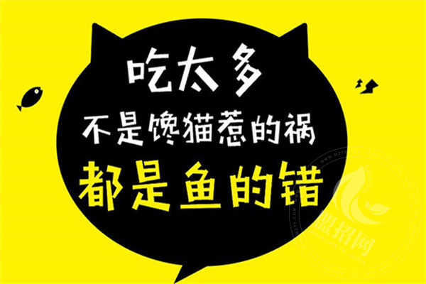 鱼的错加盟好处