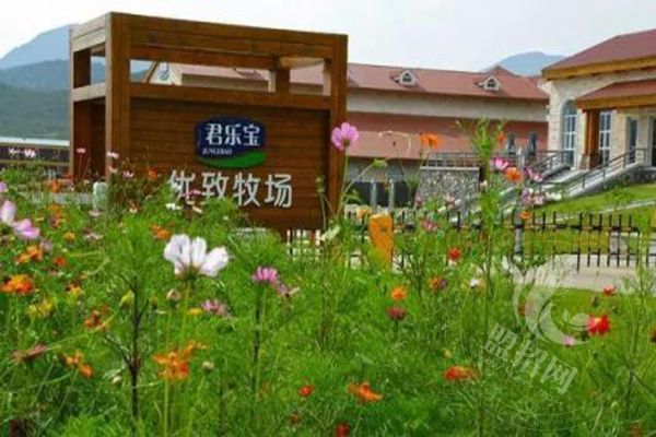 君乐宝酸奶县级代理加盟多少钱