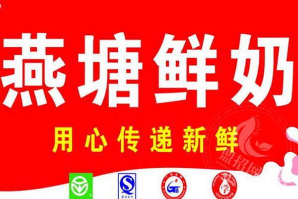 燕塘牛奶店能不能赚钱