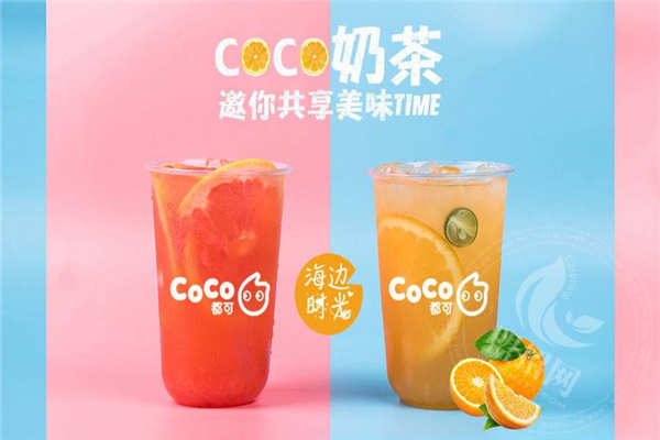 coco都可一年纯利润多少