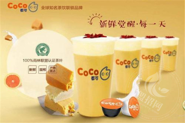 coco奶茶加盟费