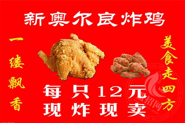 想加盟奥尔良炸鸡叉骨