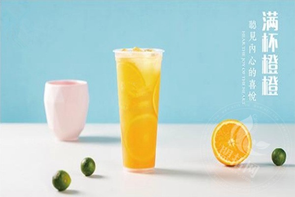wedrink茶主张和沪上恋茶比怎么样