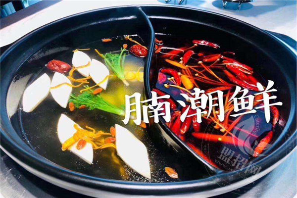 腩潮鲜火锅收益还可以吗