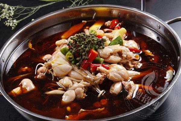 全国腩潮鲜火锅店有多少家