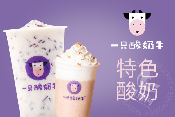 一只酸奶牛加盟总部在哪里加盟会不会亏本