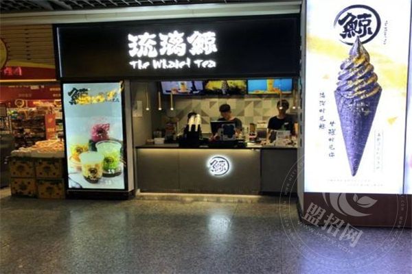 加盟琉璃鲸