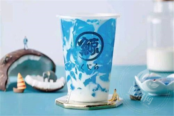 加盟琉璃鲸