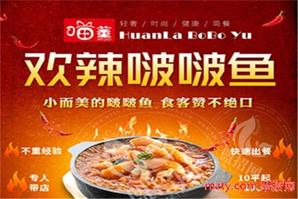 喵董欢辣啵啵鱼加盟