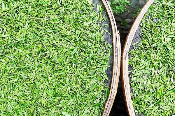 华祥苑茗茶加盟优势
