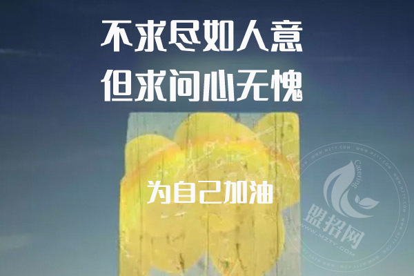 金记猪肚鸡加盟连锁店
