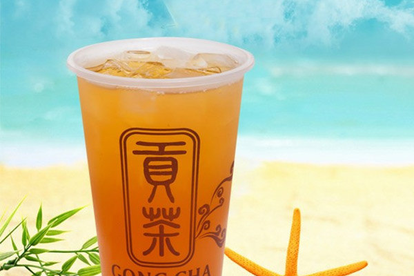 名贡贡茶几年回本