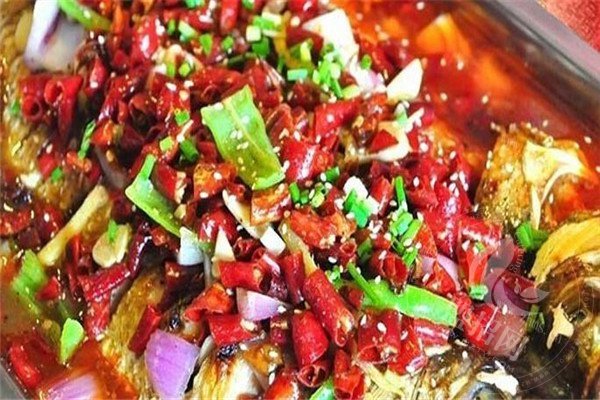 鱼太吉总部在哪里