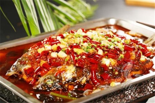 麻省理工烤鱼加盟连锁店
