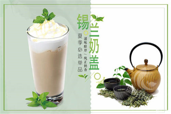 yotea有茶加盟费是多少