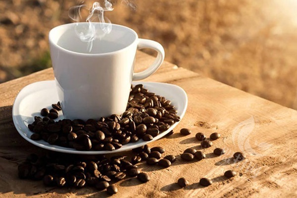街友奶茶加盟费