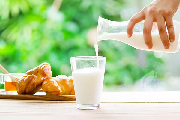 蒙牛go畅乳酸菌加盟