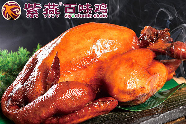 嘉州紫燕百味鸡创始人