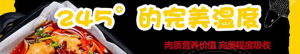 245°纸包鱼加盟