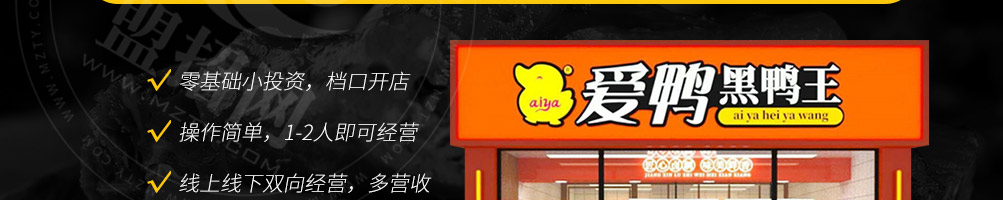 爱鸭黑鸭王加盟