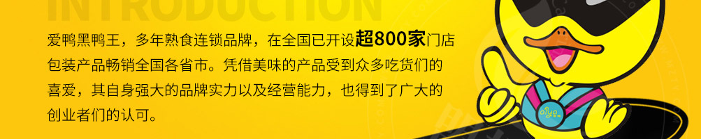 爱鸭黑鸭王加盟