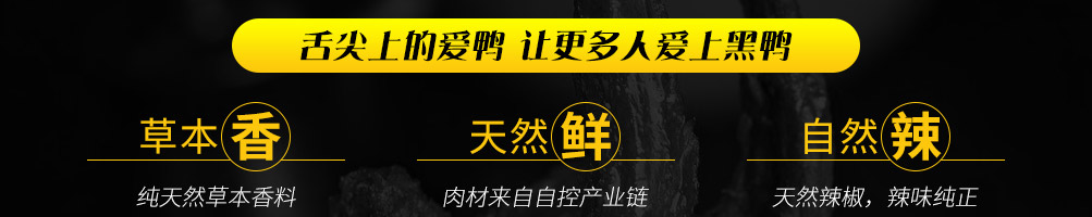 爱鸭黑鸭王加盟