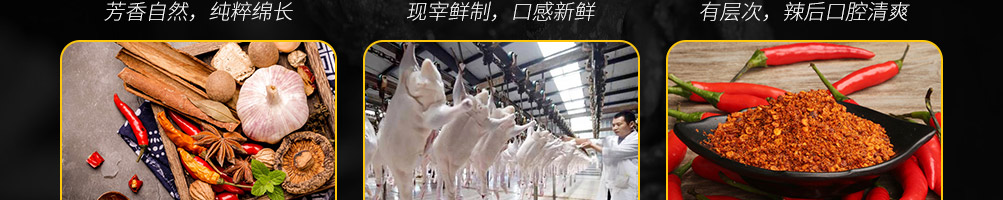 爱鸭黑鸭王加盟