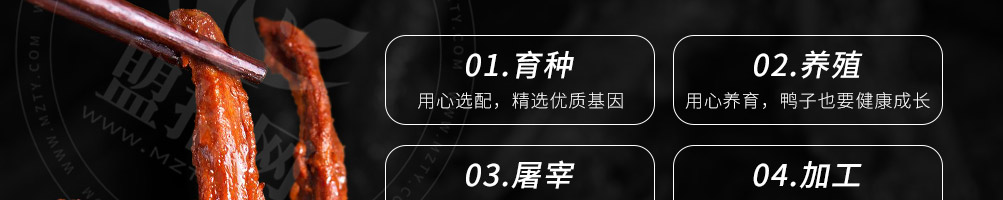 爱鸭黑鸭王加盟