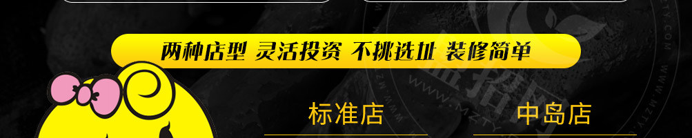 爱鸭黑鸭王加盟
