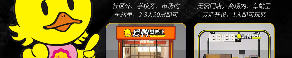 爱鸭黑鸭王加盟