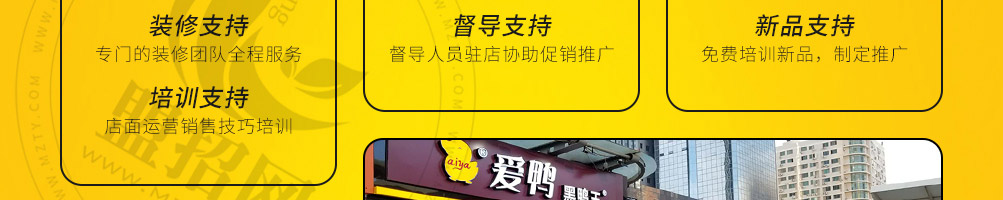 爱鸭黑鸭王加盟