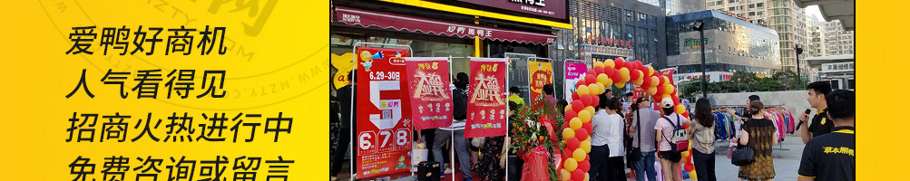 爱鸭黑鸭王加盟
