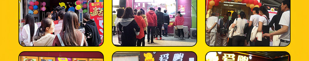 爱鸭黑鸭王加盟