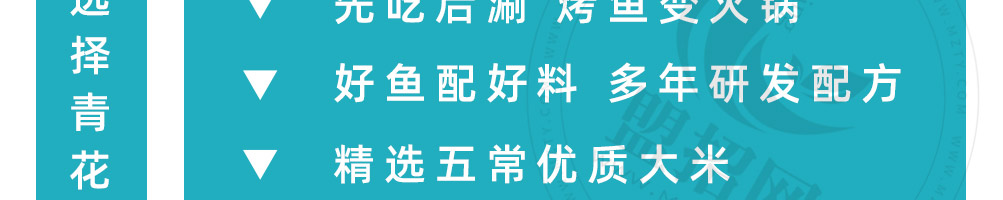 奈斯的鱼加盟