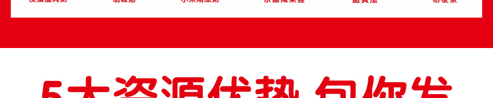 包发发包子加盟